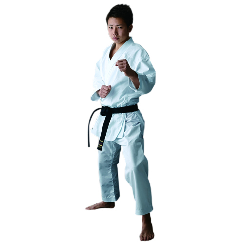 (image for) Tokaido HAYATE For KUMITE (NST) 疾風 - Click Image to Close