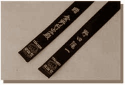 (image for) Tokaido BLS Satin Black Belt